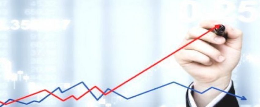 Finansal Danışmanlık Hizmetleri